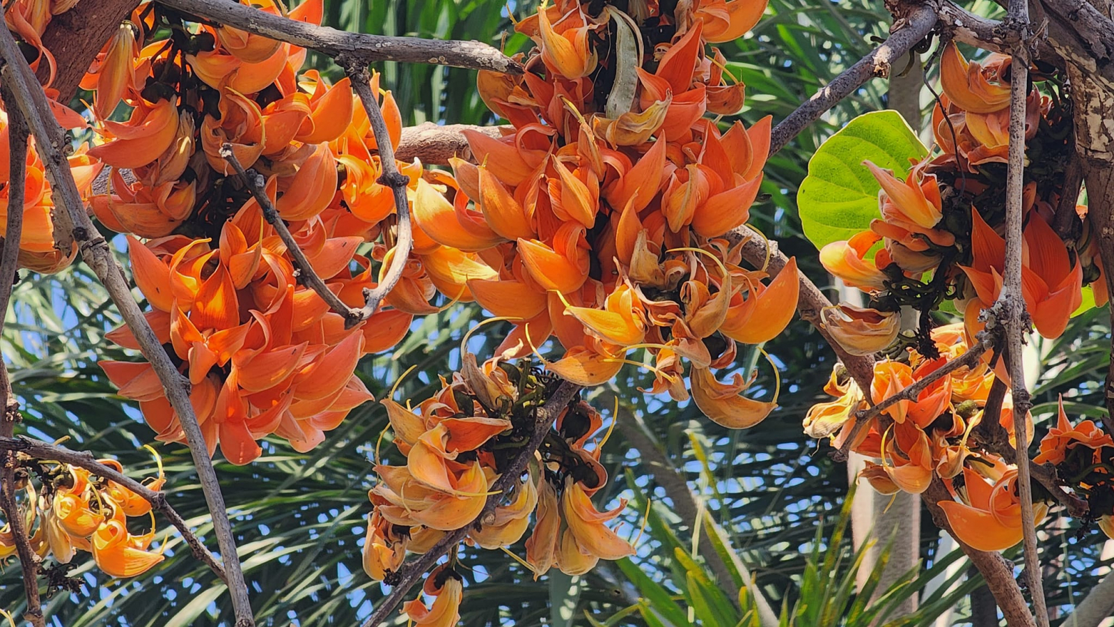 329949664_1825174794532963_4715716960068664269_n